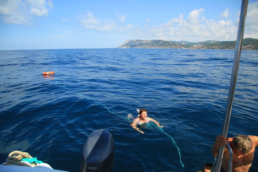 image-3